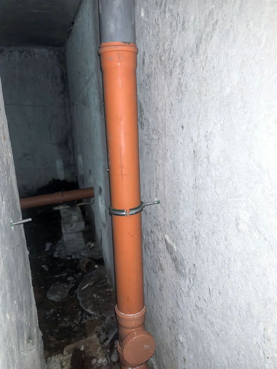 �